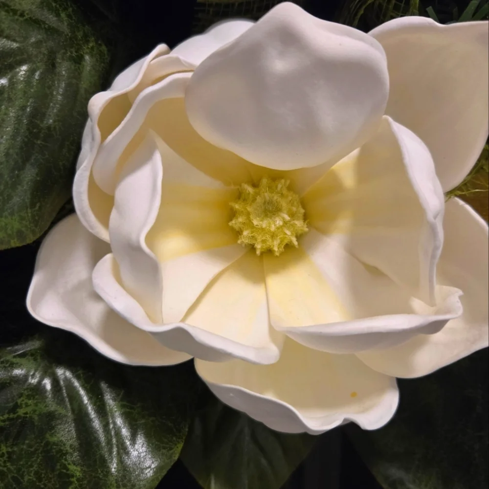 NWT Magnolia Welcome Wreath with Bow